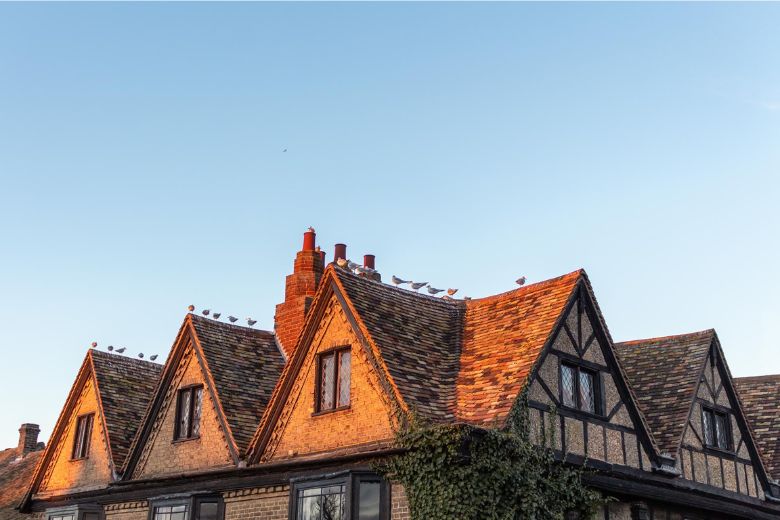 Beautiful house during sunset with seagulls on the roof - walks in St Ives, Cambridgeshire