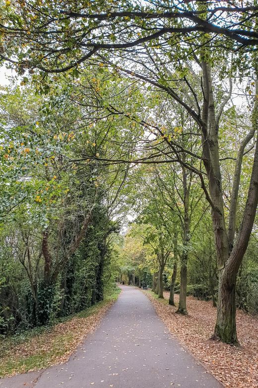 Thicket Path, St Ives - walks in St Ives, Cambridgeshire