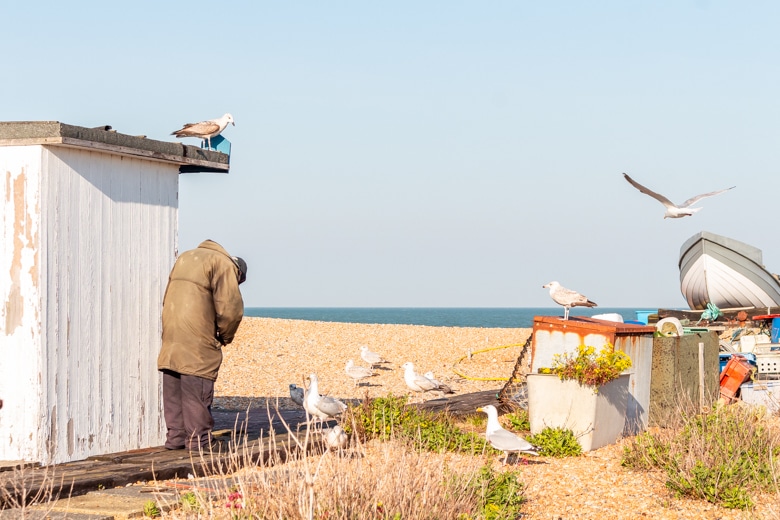Older man feeding seagulls by a beach hut - walk from Dover to Deal