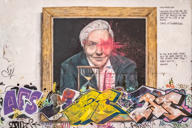 Sir David Attenborough mural sprayed on the cliffs opposite the Lido, it's already covered in graffiti - walk from Ramsgate to Margate